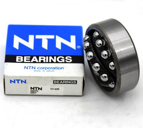 NTN1304